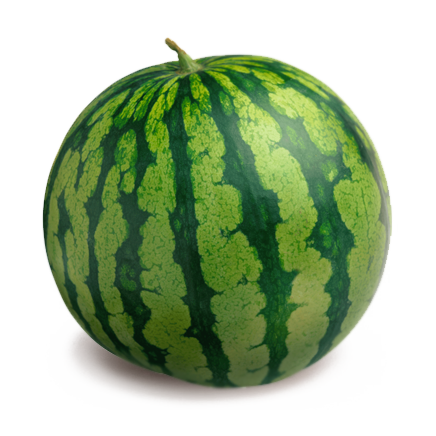 Branded Watermelon (32-Pack) *Bay Area Only