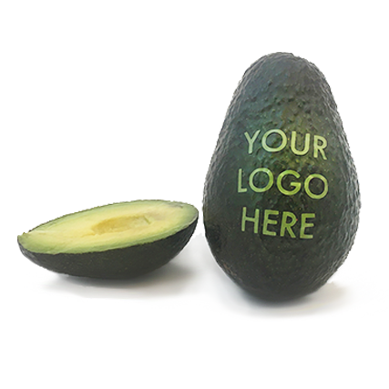 Branded Avocado (100-Pack)