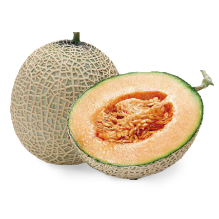 Branded Cantaloupe (50-Pack) *Bay Area Only