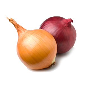 Branded Onions (100-Pack)