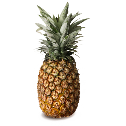 Branded Pineapple (25-Pack)