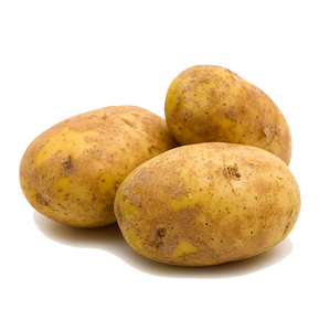 Branded Potato (100-Pack)