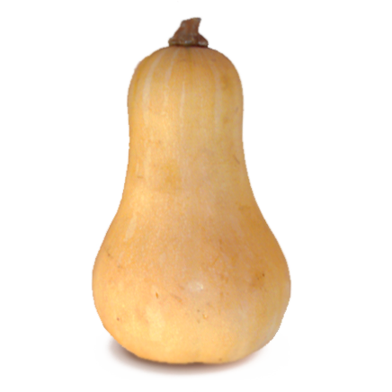 Branded Butternut Squash (50-Pack) *Fall/Winter Only