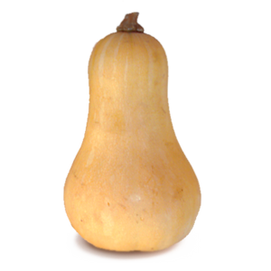 Branded Butternut Squash (50-Pack) *Fall/Winter Only