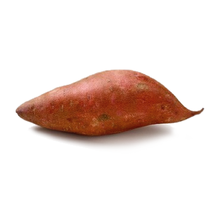 Branded Sweet Potato (100-Pack)