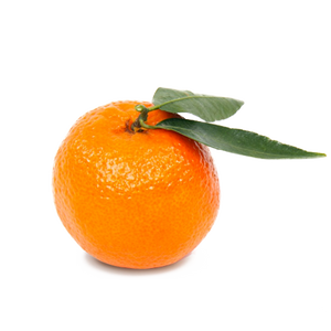 Branded Tangerine (100-Pack)